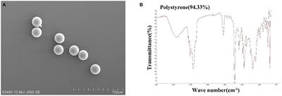 Effects of Microplastics on Immune Responses of the Yellow Catfish Pelteobagrus fulvidraco Under Hypoxia